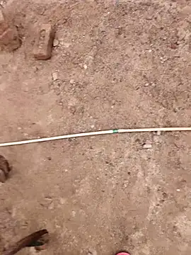 xmanrawan2 online show from 10.09.25