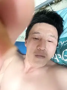 wadmma online show from 04.01.26