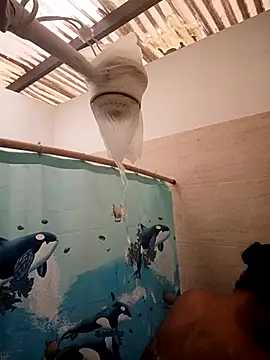 Zaira Rose  online show from 02.24.26