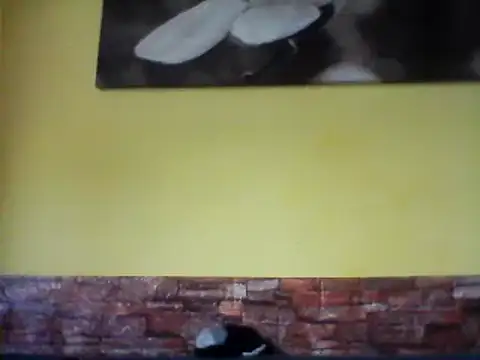 sexy lady2 online show from 02.17.25