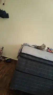 Snapshot of JapeDoBryan chatting on 05.16.26 JapeDoBryan online show from 05.16.26