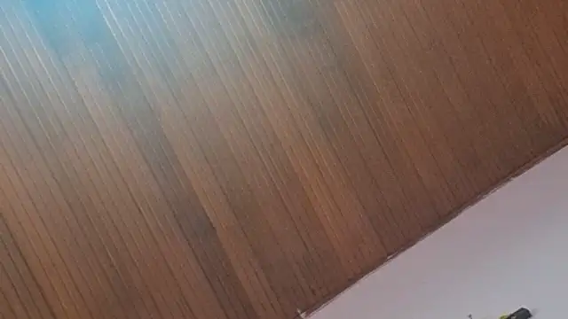 Snapshot of kyliebigboobs chatting on 09.30.25 kyliebigboobs online show from 09.30.25