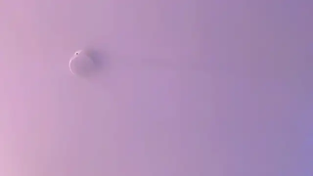 leahaltomm online show from 04.18.26