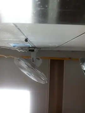 HotC1991 online show from 04.24.26