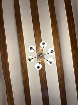 laarti online show from 11.19.25