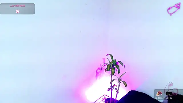 7 Saturno 7 online show from 03.20.26