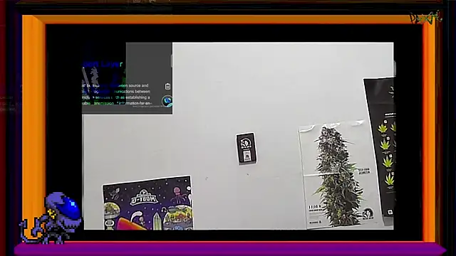 ReyDeBotones online show from 03.14.25