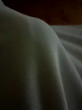 Snapshot of Arabian chatting on 02.17.25 Arabian online show from 02.17.25