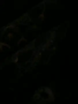 Snapshot of leonard__123 chatting on 02.06.25 leonard 123 online show from 02.06.25