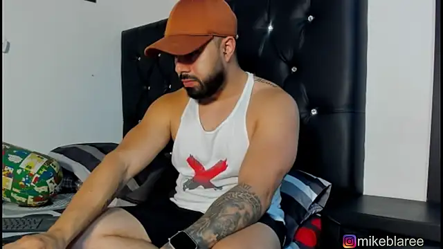 Snapshot of mikeblaree chatting on 01.17.26 mikeblaree online show from 01.17.26