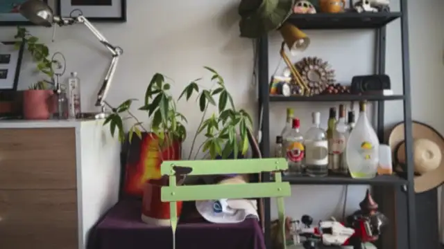 MikymikeBBWD online show from 03.11.26