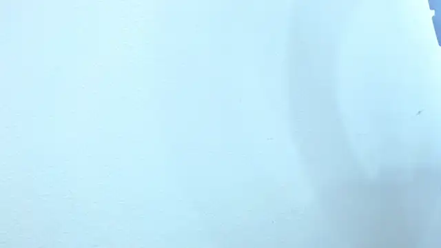 sebastian colle online show from 02.26.25