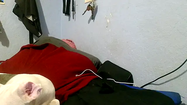 PornStro921 online show from 05.03.26