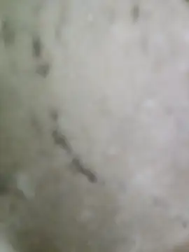 pussyfatasss online show from 09.27.25