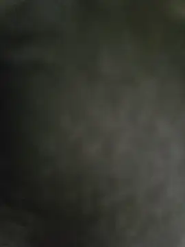 hmlu online show from 02.26.25