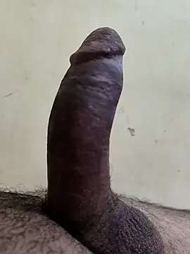 alkhabiir online show from 11.25.25