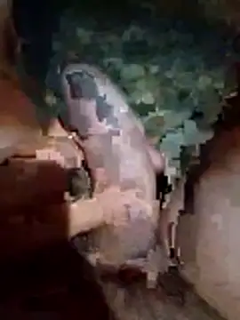 Snapshot of Luis_katya chatting on 02.10.26 Luis katya online show from 02.10.26