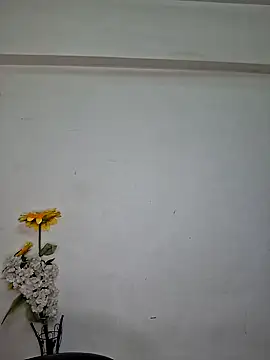 Noor-Bold online show from 11.07.25