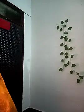 Snapshot of Neha-Bhabhi-Rasily chatting on 11.27.25 Neha-Bhabhi-Rasily online show from 11.27.25