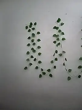 Snapshot of Neha-Bhabhi-Rasily chatting on 12.17.25 Neha-Bhabhi-Rasily online show from 12.17.25