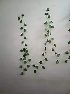 Snapshot of Neha-Bhabhi-Rasily chatting on 02.14.26 Neha-Bhabhi-Rasily online show from 02.14.26