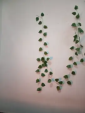 Snapshot of Neha-Bhabhi-Rasily chatting on 02.18.26 Neha-Bhabhi-Rasily online show from 02.18.26