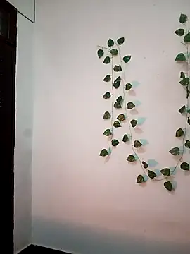 Snapshot of Neha-Bhabhi-Rasily chatting on 02.20.26 Neha-Bhabhi-Rasily online show from 02.20.26