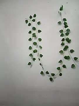 Snapshot of Neha-Bhabhi-Rasily chatting on 02.22.26 Neha-Bhabhi-Rasily online show from 02.22.26