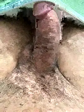 Iliase online show from 11.15.25