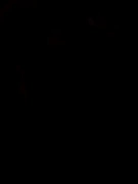 viviksmel online show from 10.25.25