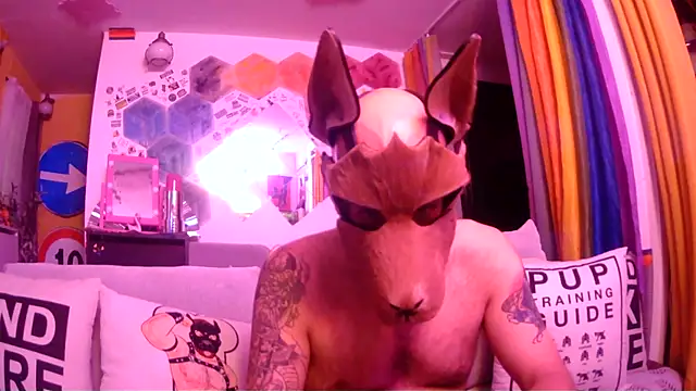 danix wild wolf online show from 05.31.26