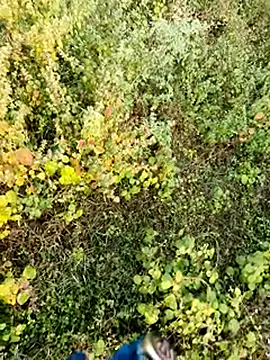 himvilohi08 online show from 12.04.25