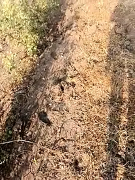 himvilohi08 online show from 02.28.26