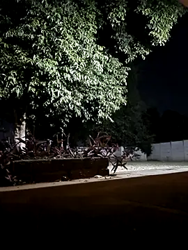 Snapshot of bakedsnackmmh chatting on 02.19.26 bakedsnackmmh online show from 02.19.26