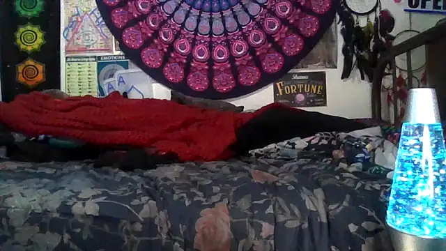 GardeniaFields online show from 02.11.26