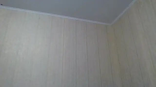  Black-Panther  online show from 09.28.25