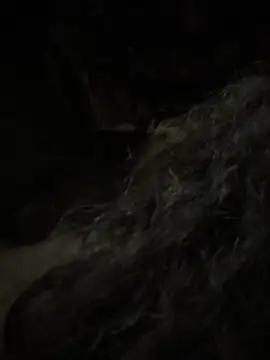 aa520uv online show from 02.05.26