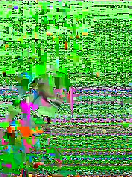 Snapshot of HenriquePhn chatting on 02.06.26 HenriquePhn online show from 02.06.26