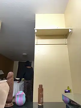 msvelvet20 online show from 04.02.26