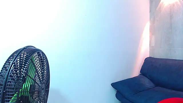 black king 241 online show from 11.01.25