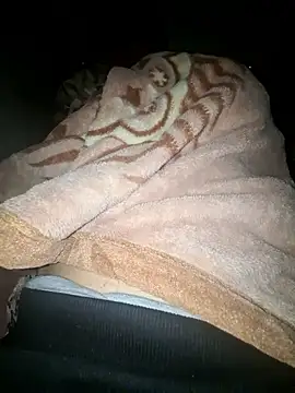 amirzinou online show from 10.26.25