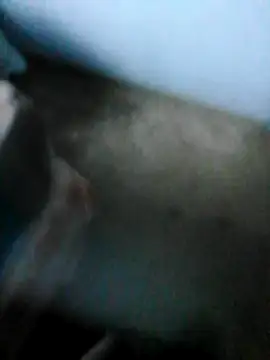 mydickbedarkandthick online show from 11.21.25