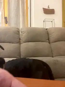 Snapshot of BestSexForYou chatting on 01.16.26 BestSexForYou online show from 01.16.26