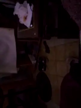 Snapshot of DannyRosarioxxx chatting on 11.14.25 DannyRosarioxxx online show from 11.14.25