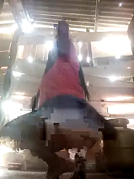 srtsara online show from 04.02.26