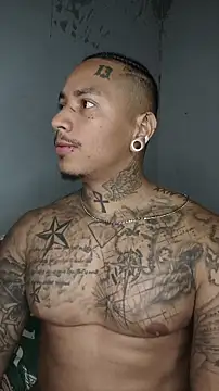 David tatto1 online show from 03.13.26