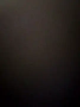 Snapshot of boosypussy chatting on 11.14.25 boosypussy online show from 11.14.25