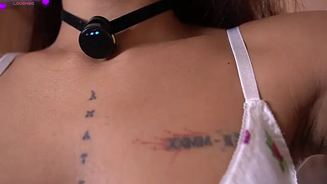 violeth     online show from 03.11.26