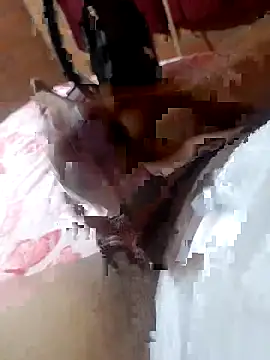 Michaello hard online show from 03.14.26