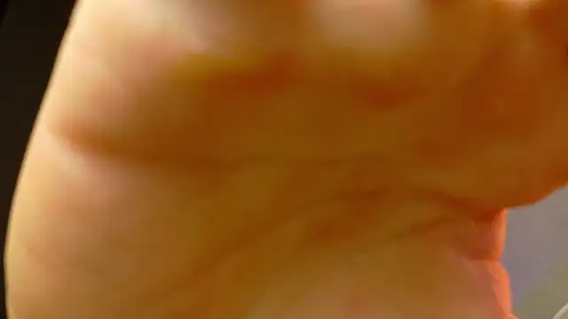 david huge online show from 07.27.26
